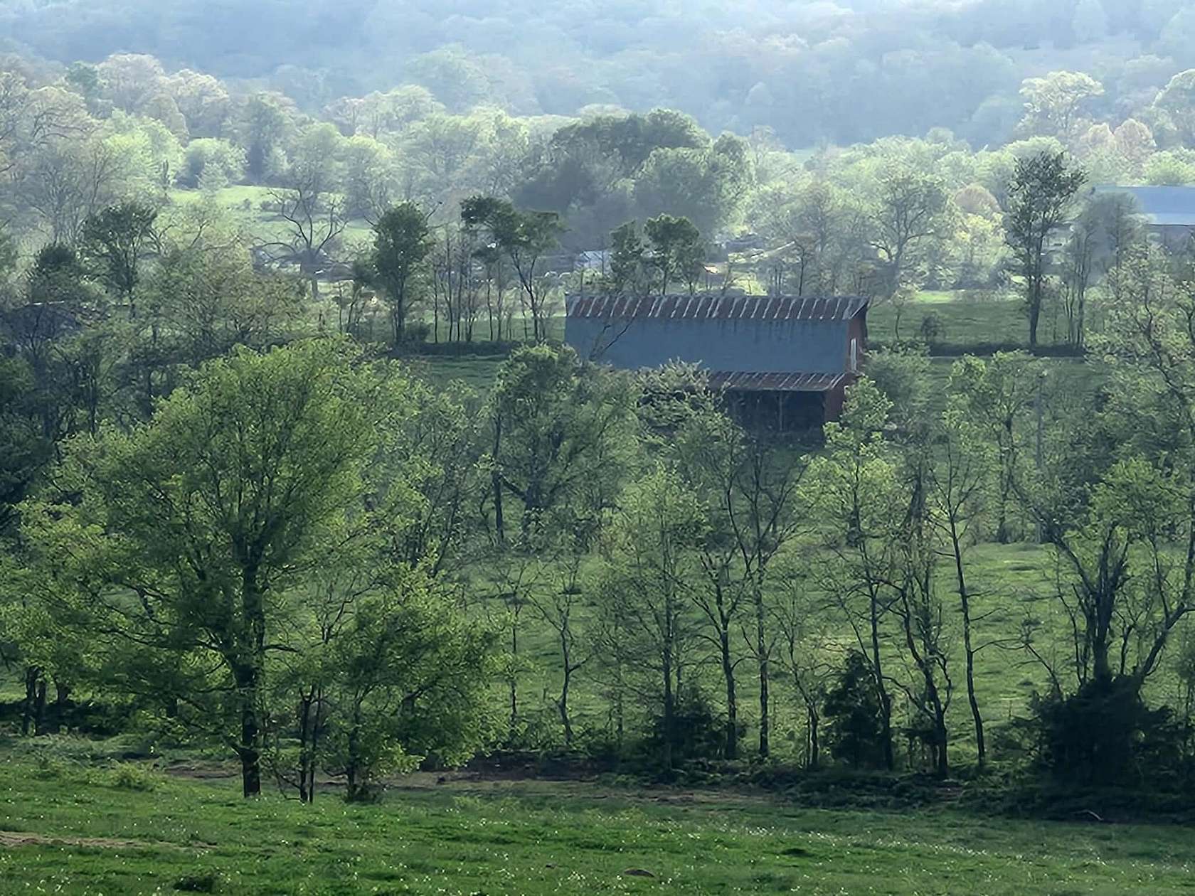 202 Acres of Land for Sale in Mountain Grove, Missouri