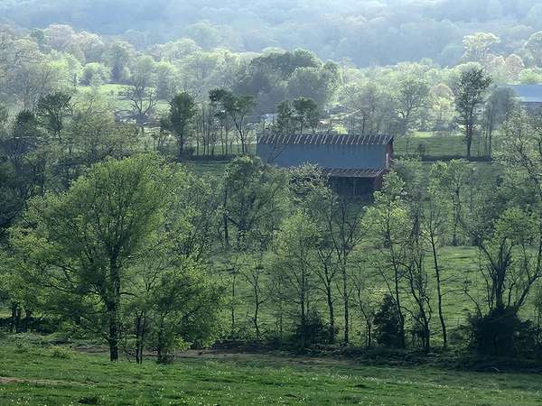 202 Acres of Land for Sale in Mountain Grove, Missouri