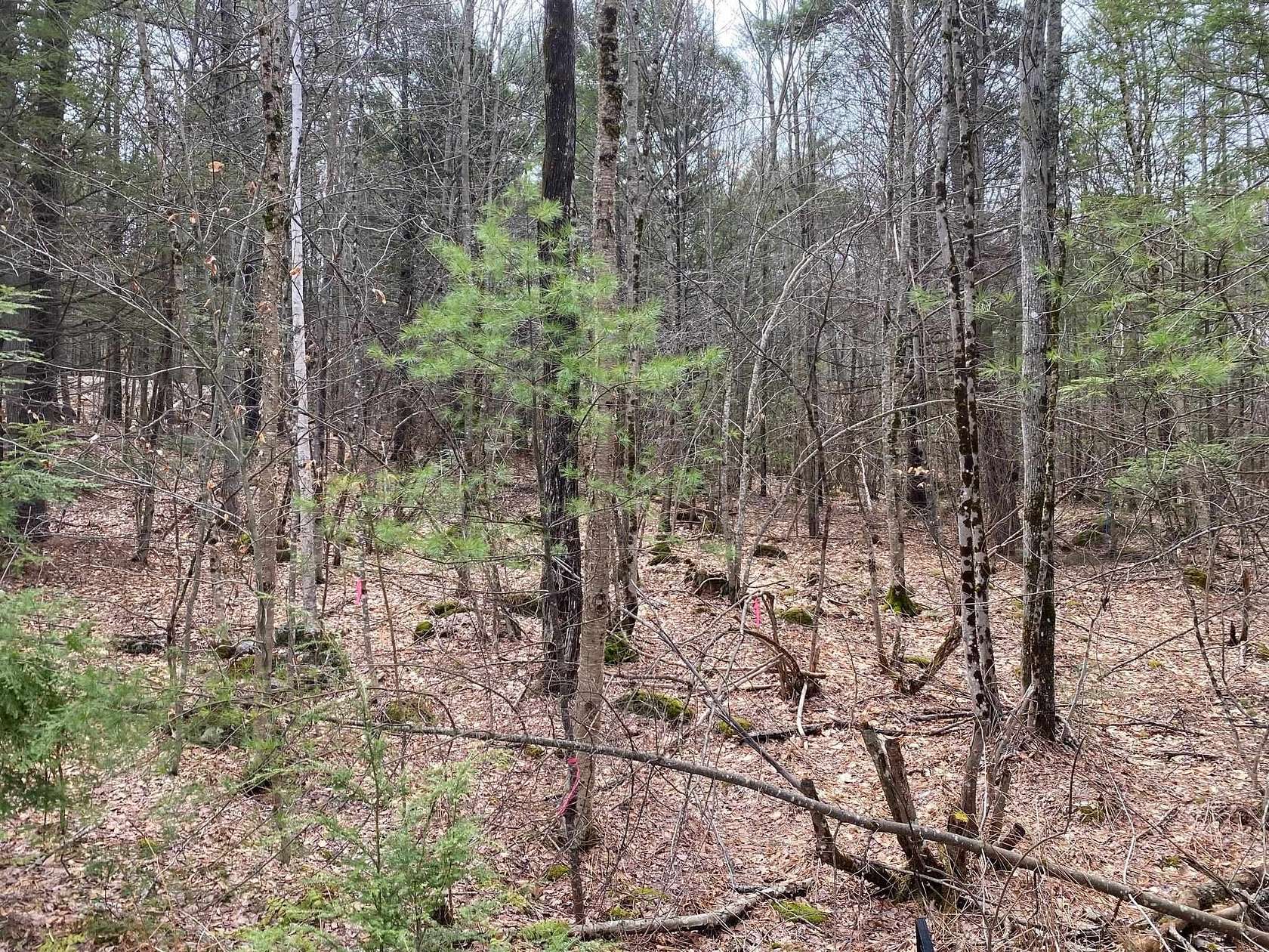 2.39 Acres of Land with Home for Sale in Wolfeboro, New Hampshire