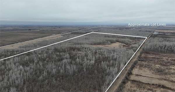 79.7 Acres of Recreational Land for Sale in Plummer, Minnesota
