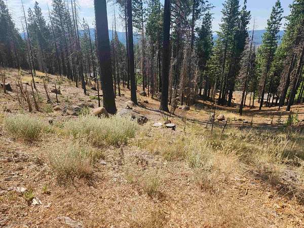 1.3 Acres of Land for Sale in Lake Almanor West, California