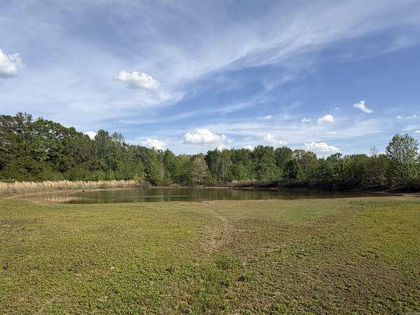 5 Acres of Residential Land for Sale in Lonoke, Arkansas