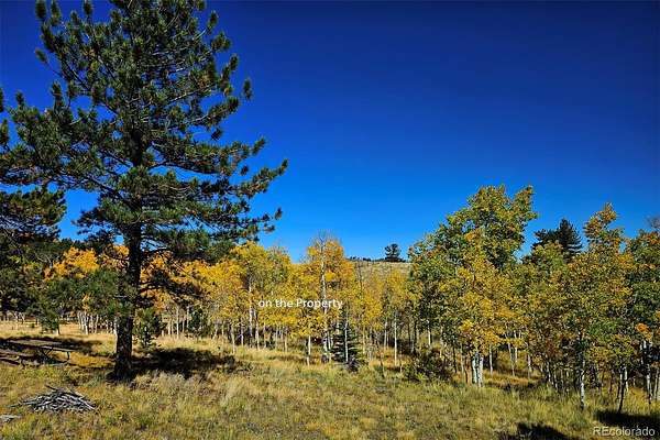 5 Acres of Residential Land for Sale in Hartsel, Colorado
