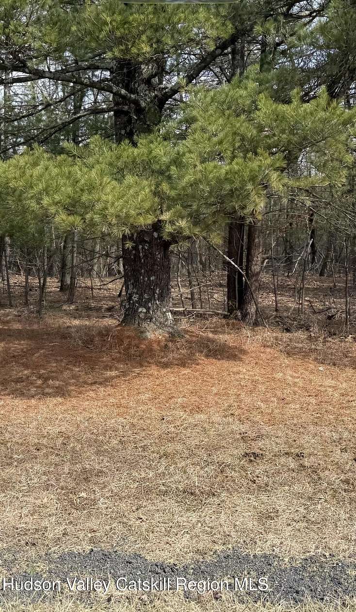 25 Acres of Land for Sale in Coeymans, New York