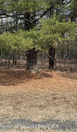 25 Acres of Land for Sale in Coeymans, New York