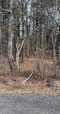 25 Acres of Land for Sale in Berne, New York