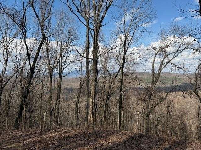 2.89 Acres of Residential Land for Sale in Ellijay, Georgia
