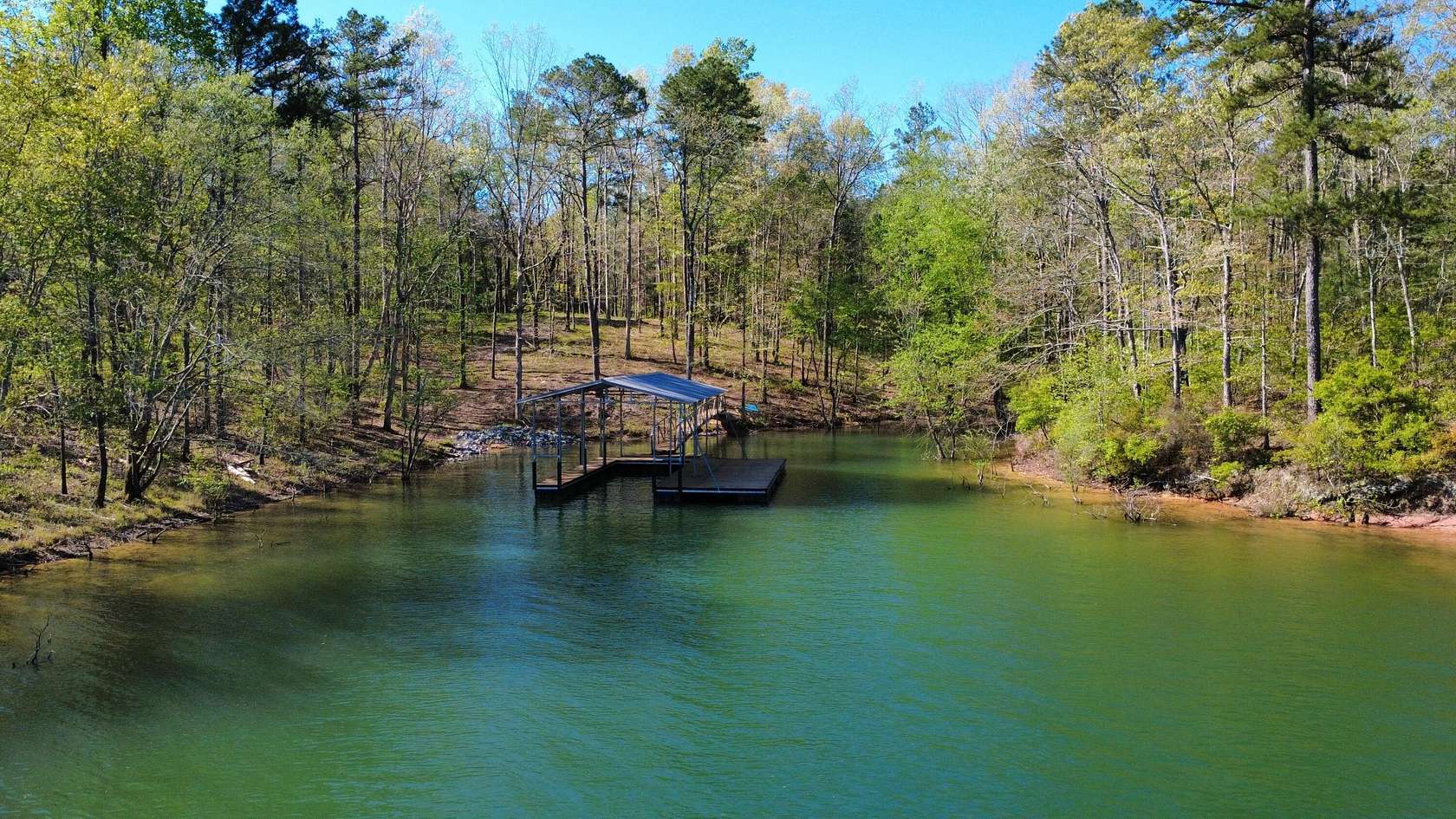 Land for Sale in Double Springs, Alabama