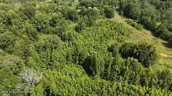 13.5 Acres of Land for Sale in Utica, Mississippi