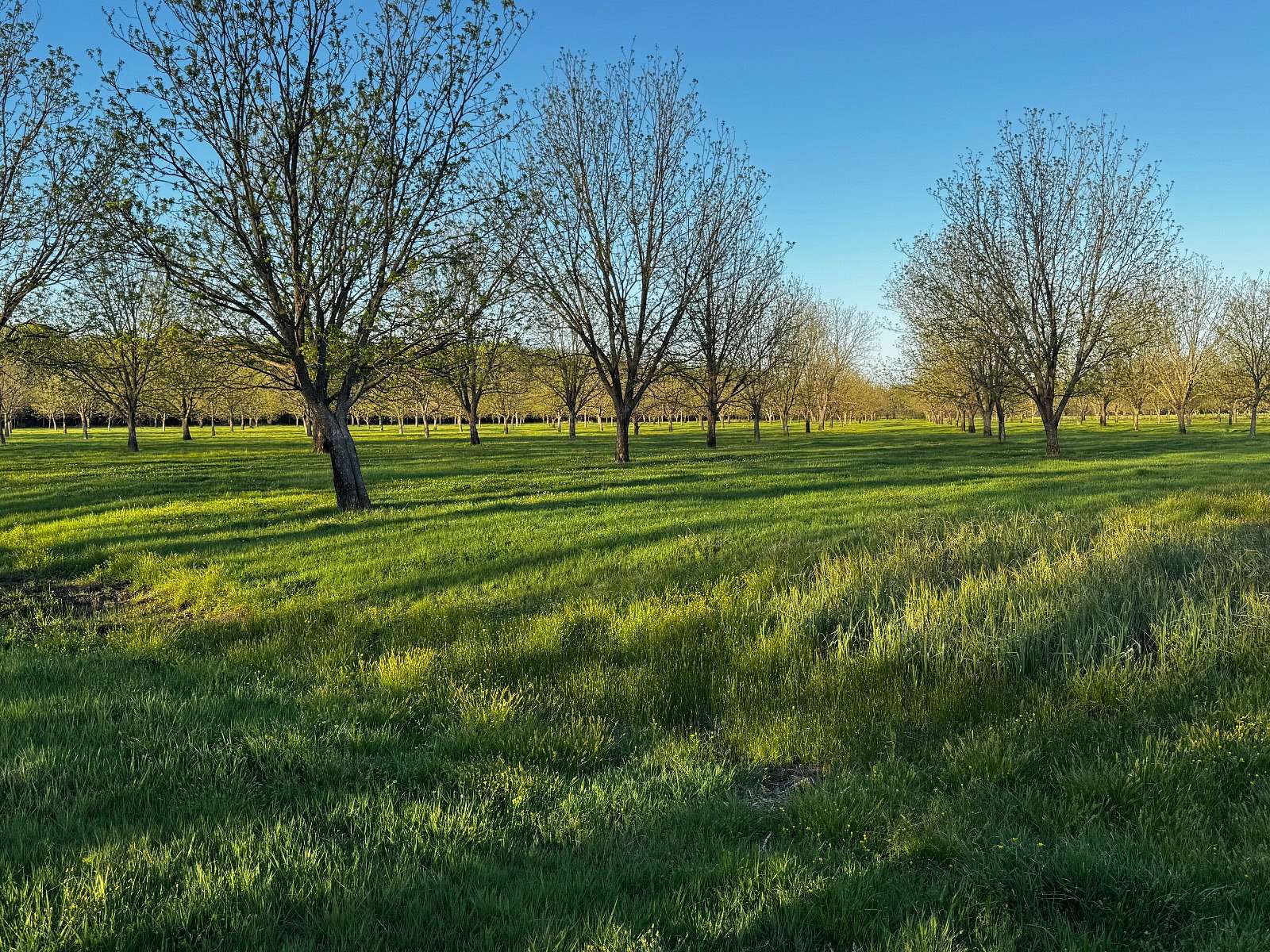 185 Acres of Land for Sale in Claremore, Oklahoma