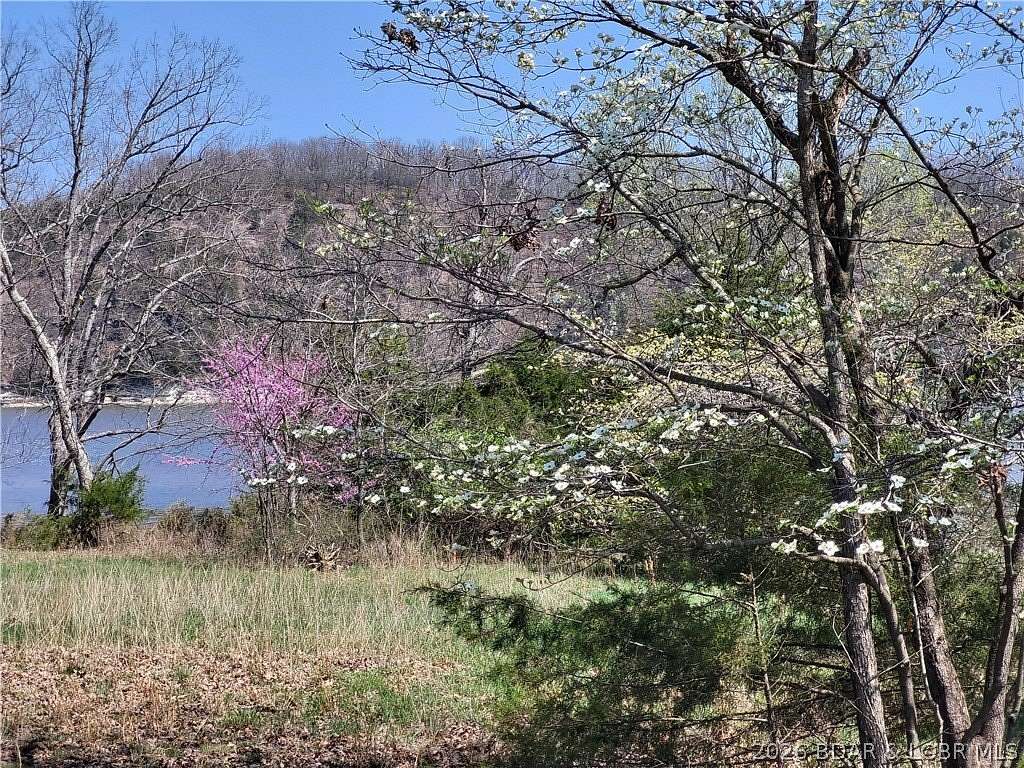 0.5 Acres of Residential Land for Sale in Edwards, Missouri