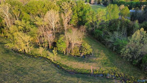 19.5 Acres of Land for Sale in Moulton, Alabama
