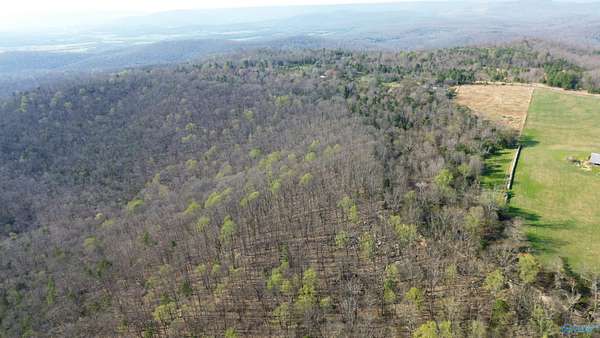 25 Acres of Land for Sale in Grant, Alabama