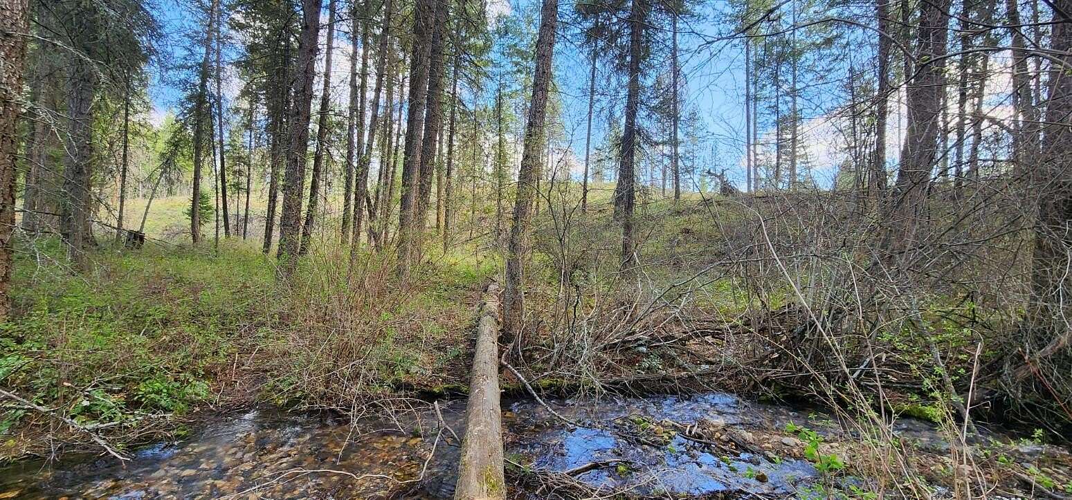 6 Acres of Residential Land for Sale in Colville, Washington