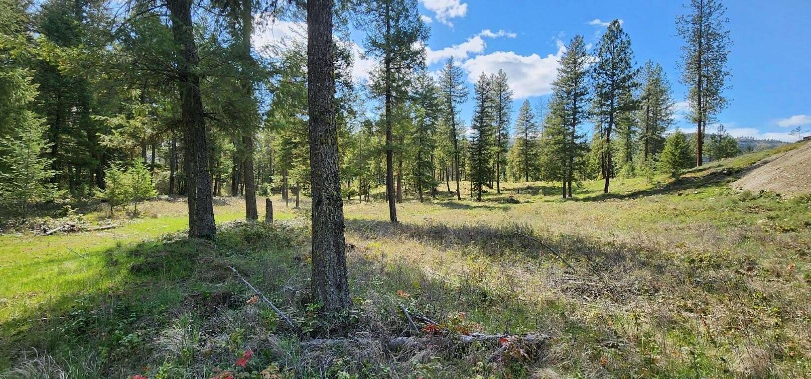 6 Acres of Residential Land for Sale in Colville, Washington