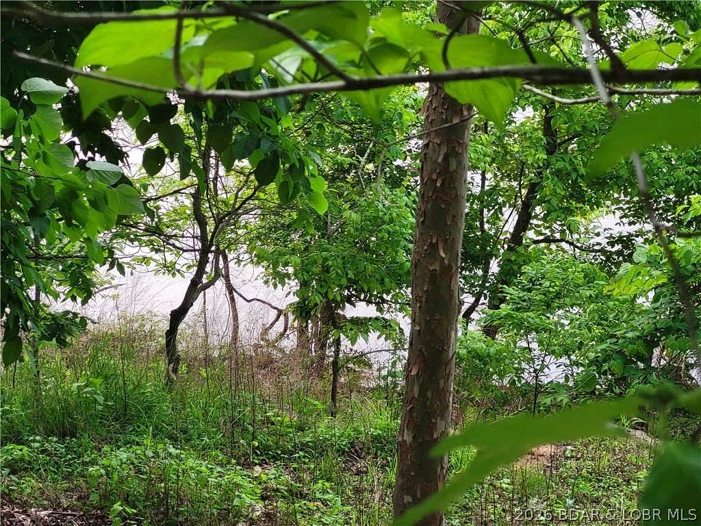 0.85 Acres of Residential Land for Sale in Edwards, Missouri