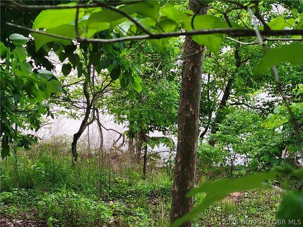 0.85 Acres of Residential Land for Sale in Edwards, Missouri