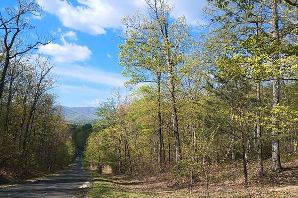 4.69 Acres of Residential Land for Sale in Nellysford, Virginia