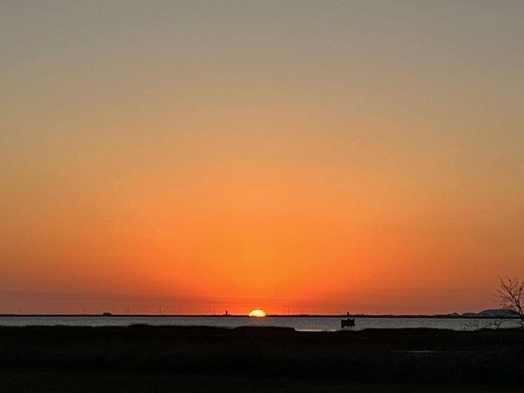 0.35 Acres of Residential Land for Sale in Rockport, Texas