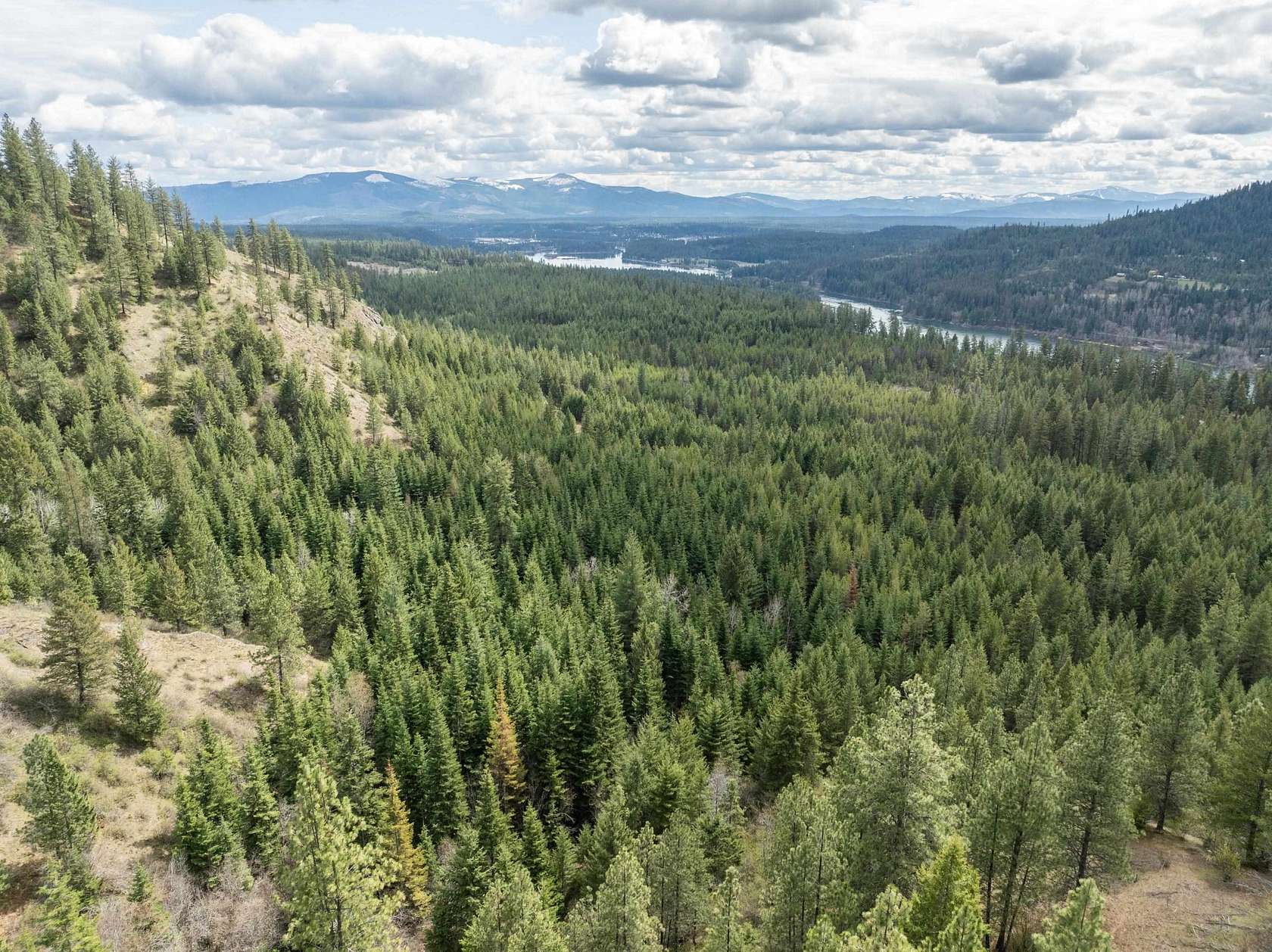 128 Acres of Recreational Land for Sale in Newport, Washington