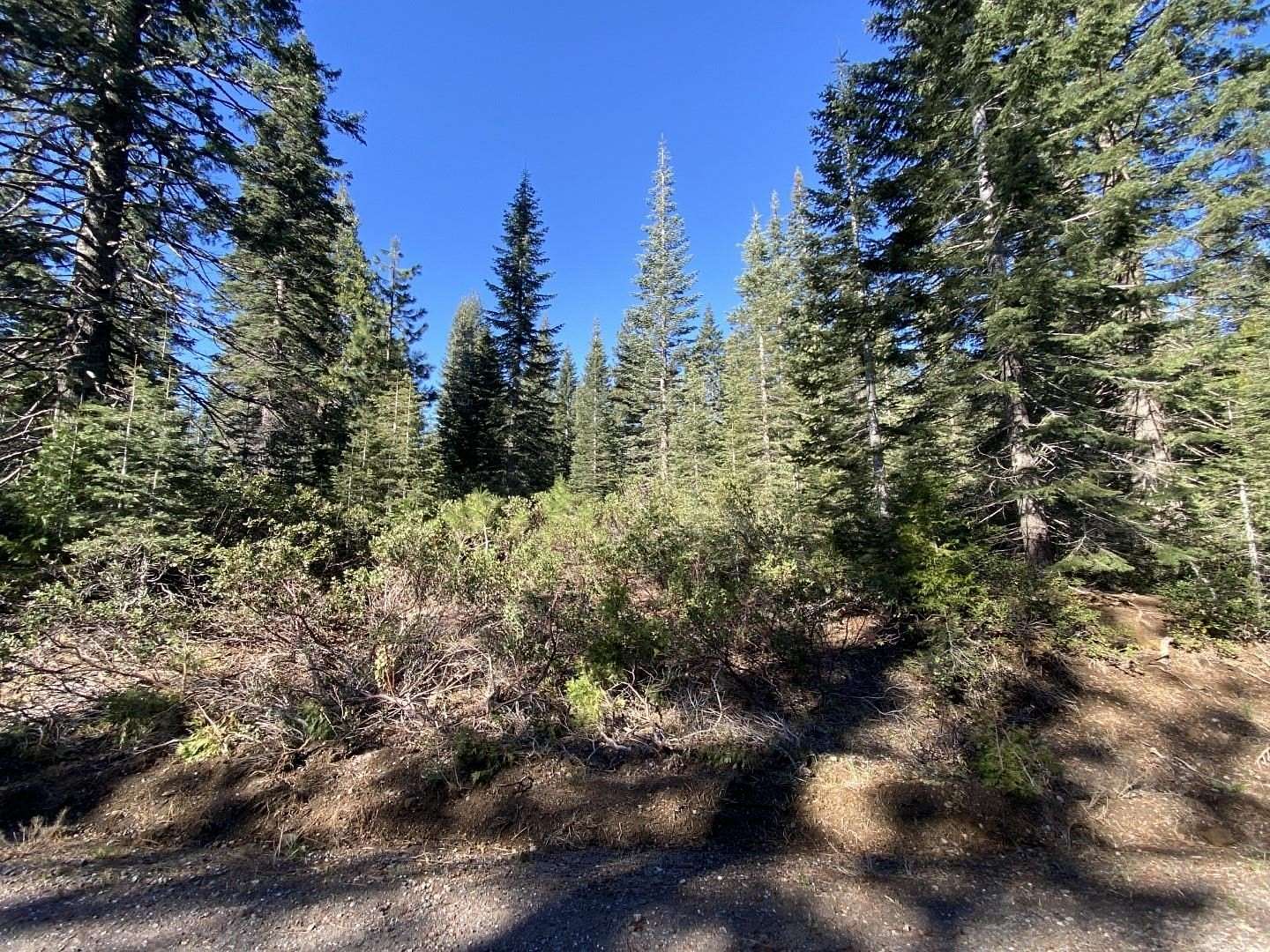 3.24 Acres of Residential Land for Sale in McCloud, California