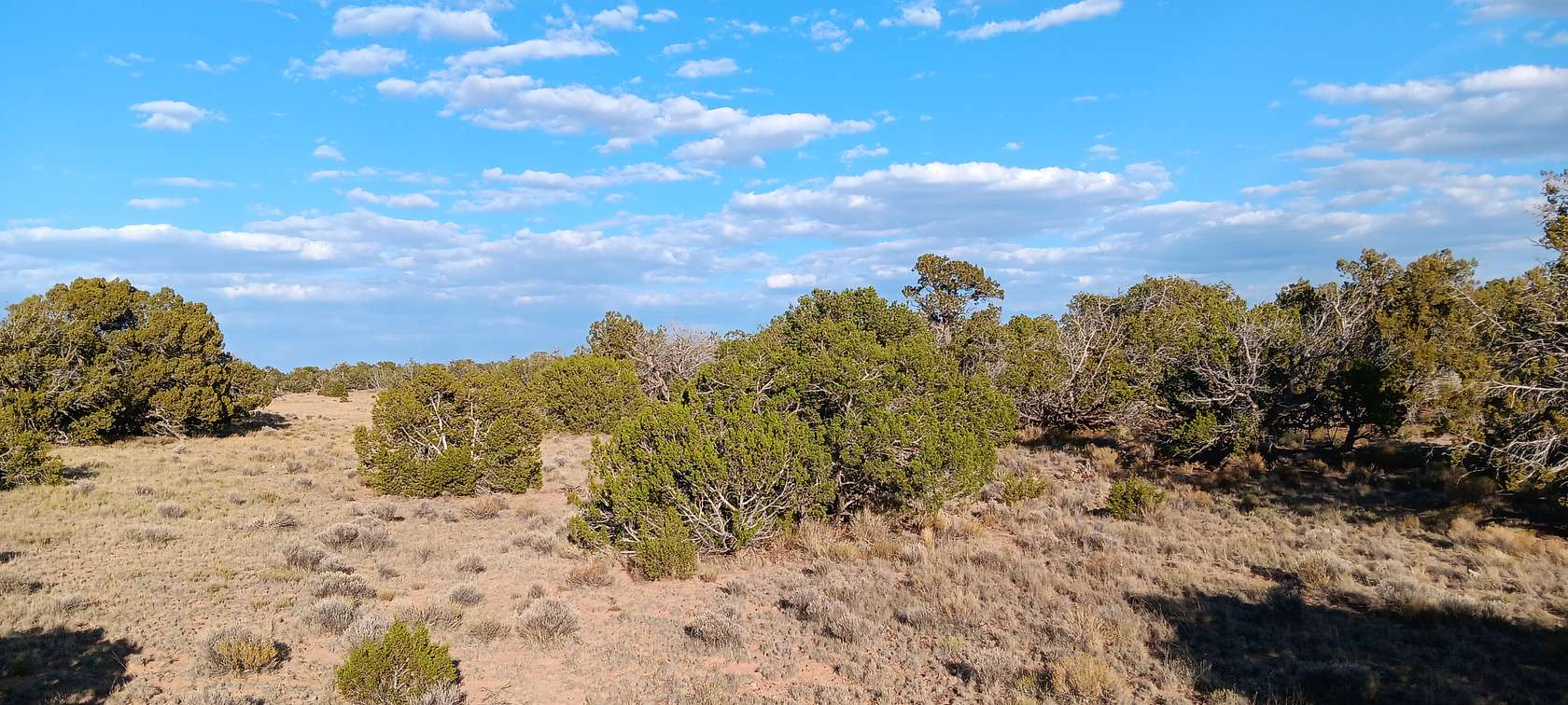 2.47 Acres of Residential Land for Sale in Chambers, Arizona