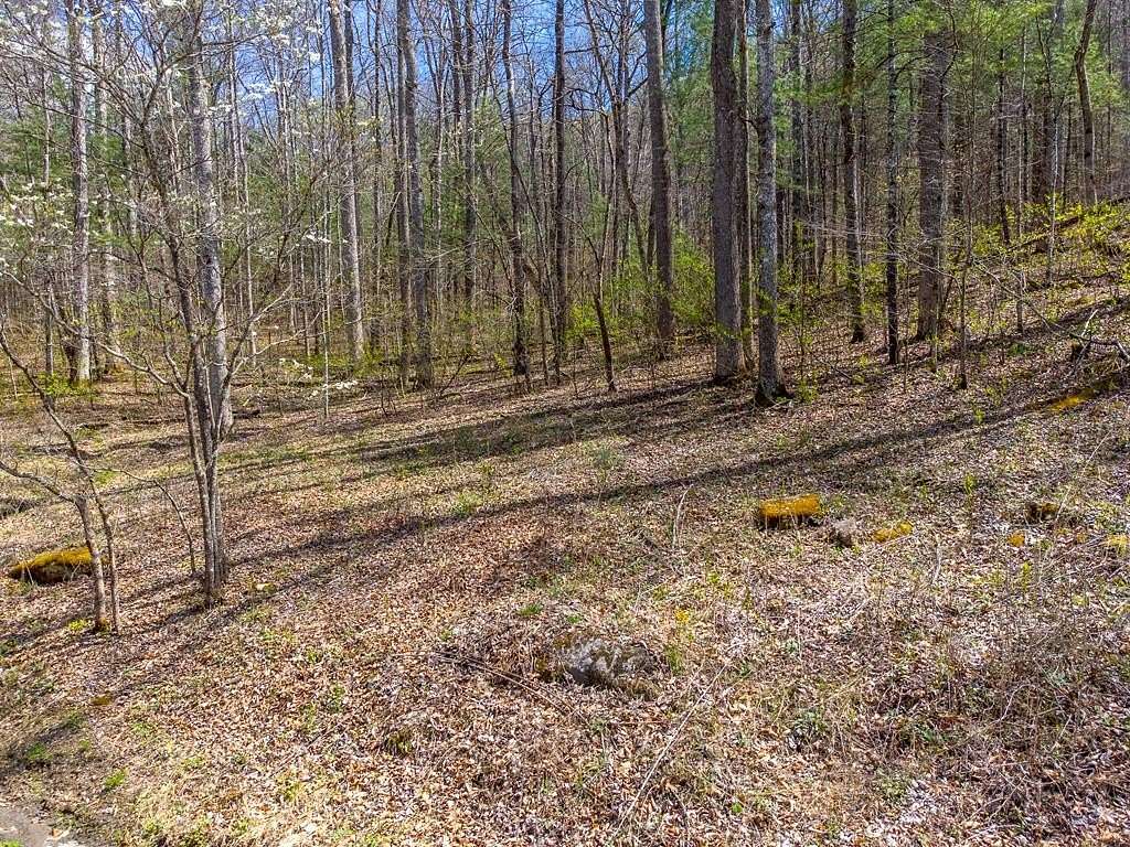 10.2 Acres of Land for Sale in Tuckasegee, North Carolina