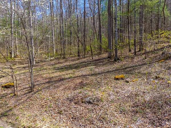 10.2 Acres of Land for Sale in Tuckasegee, North Carolina