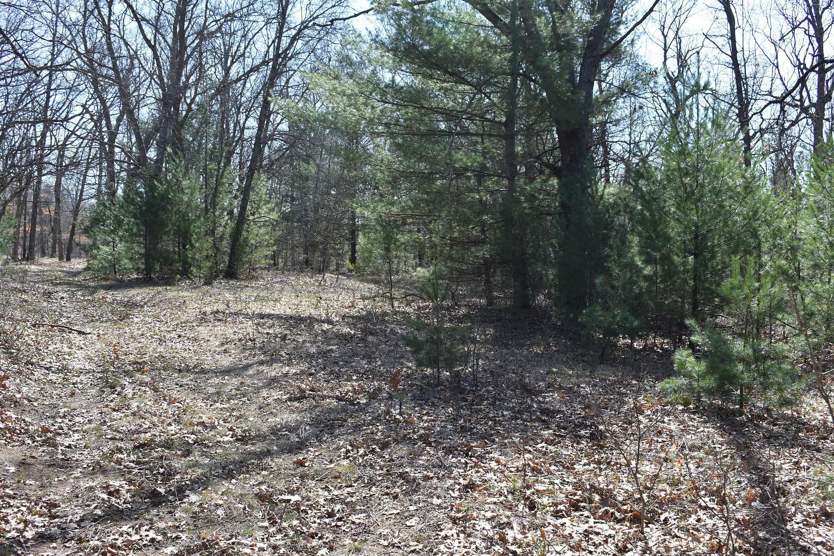 7 Acres of Land for Sale in Fountain, Michigan