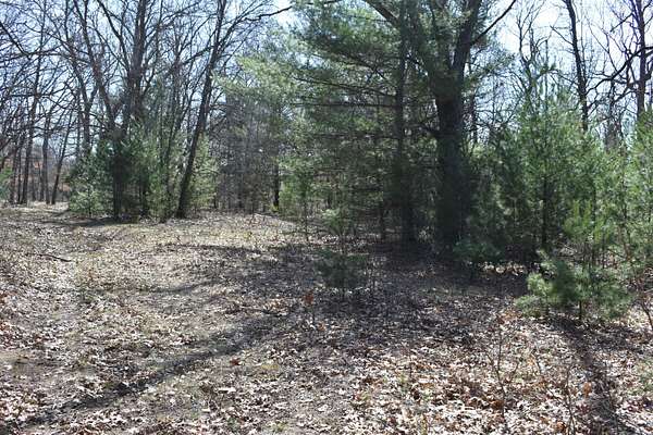 7 Acres of Land for Sale in Fountain, Michigan