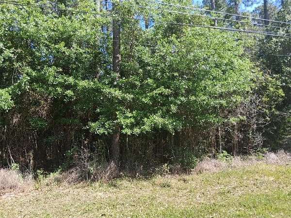 0.47 Acres of Residential Land for Sale in Theodore, Alabama