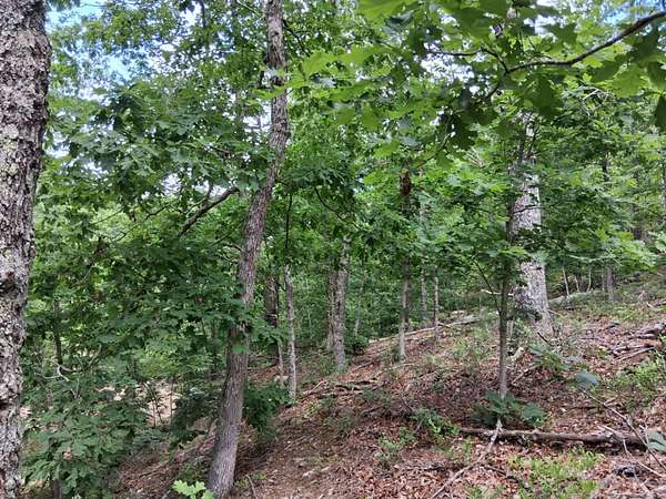 12 Acres of Land for Sale in Raymondville, Missouri