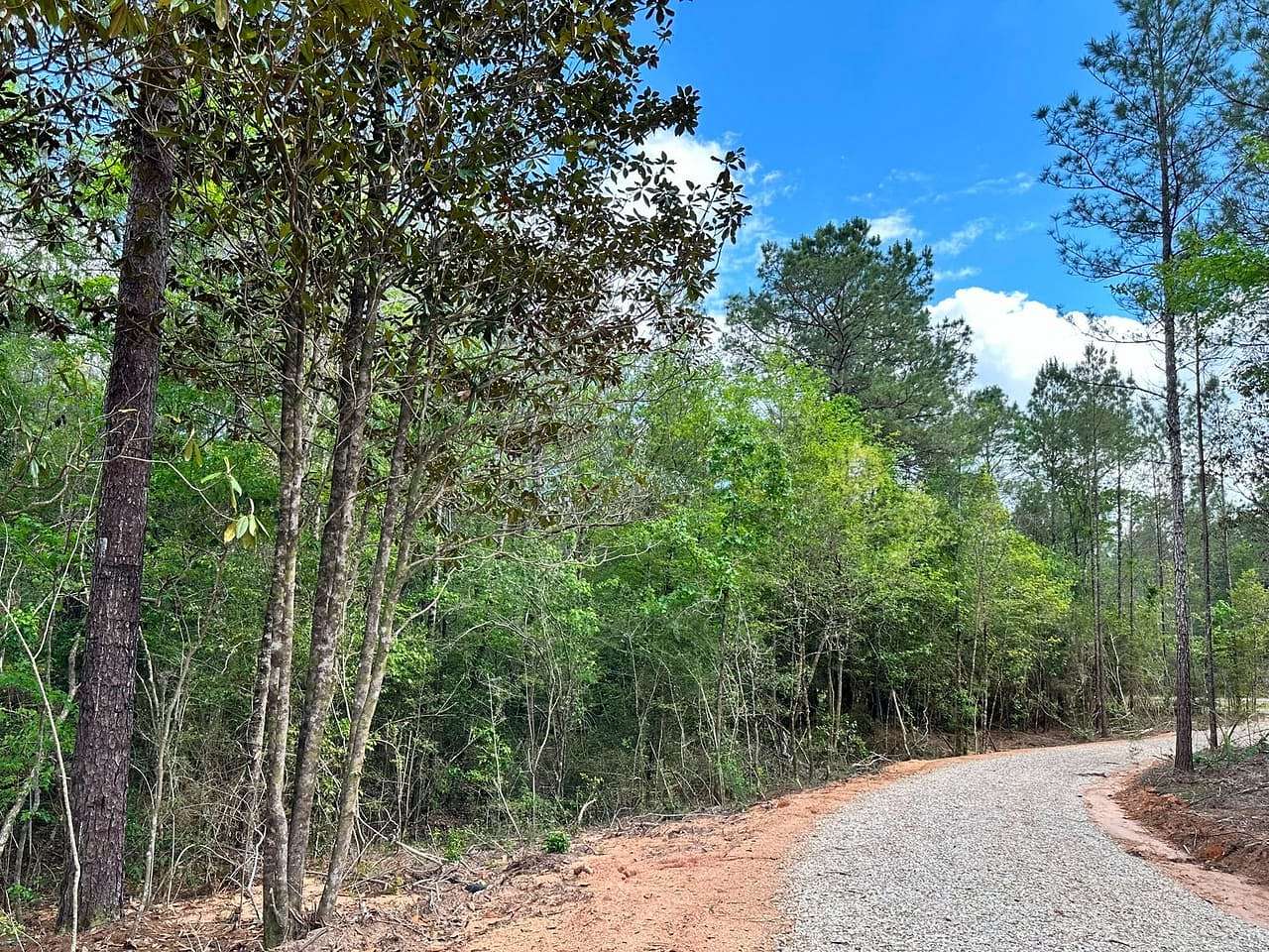 11.8 Acres of Land for Sale in Wiggins, Mississippi