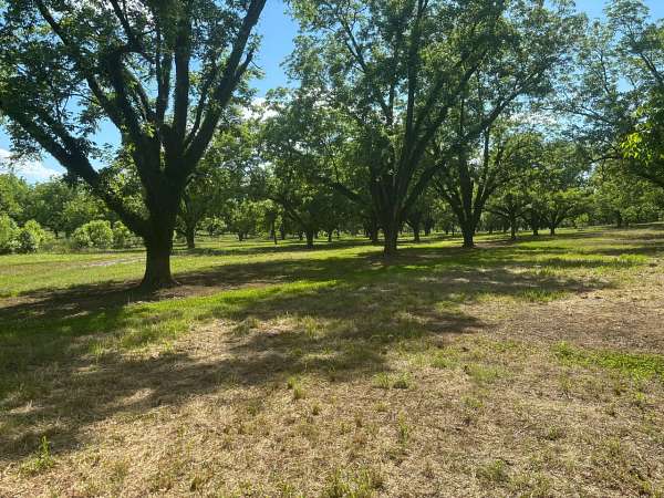 16.4 Acres of Land for Sale in Raymond, Mississippi