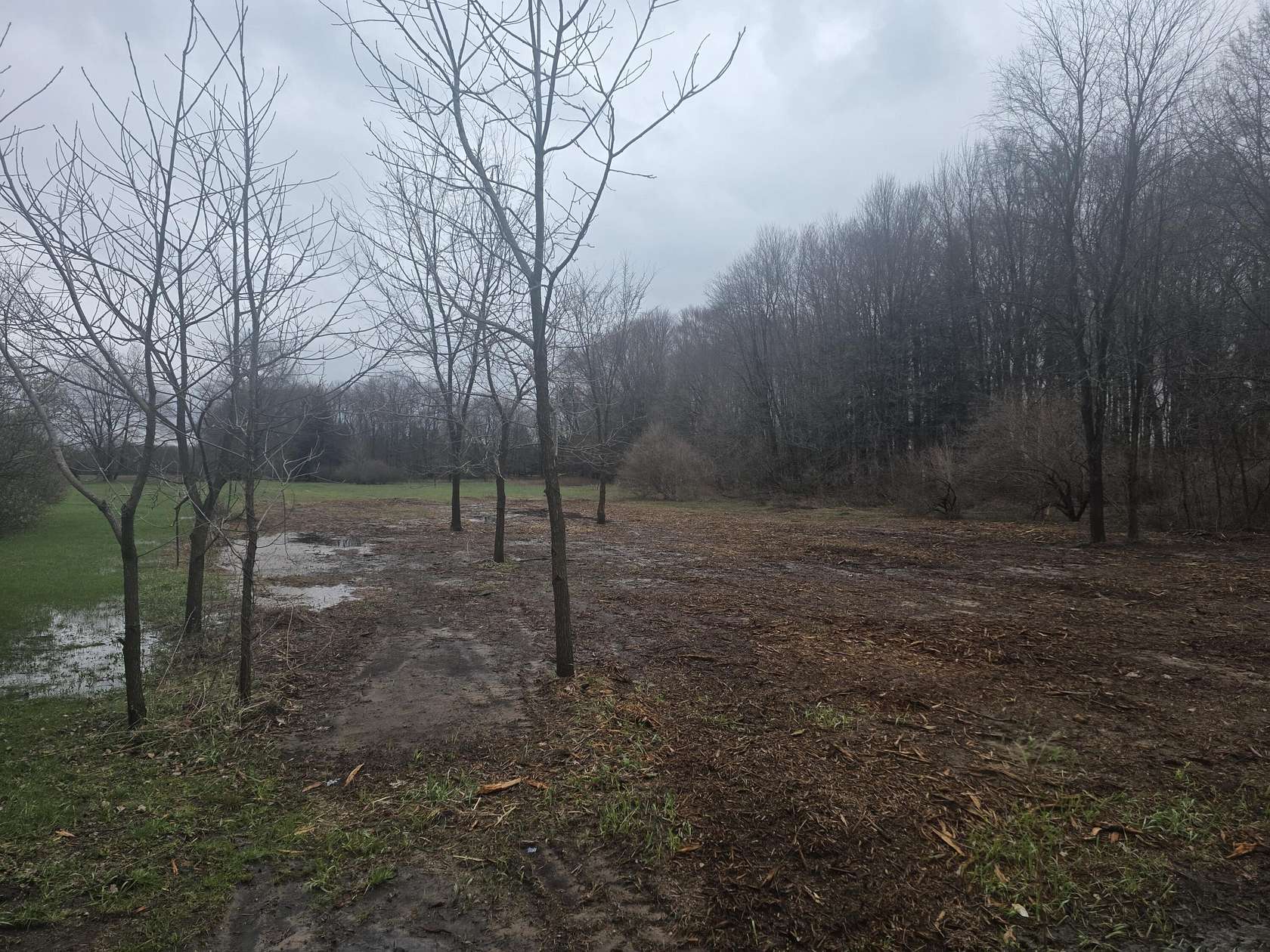 1 Acre of Residential Land for Sale in White Cloud, Michigan