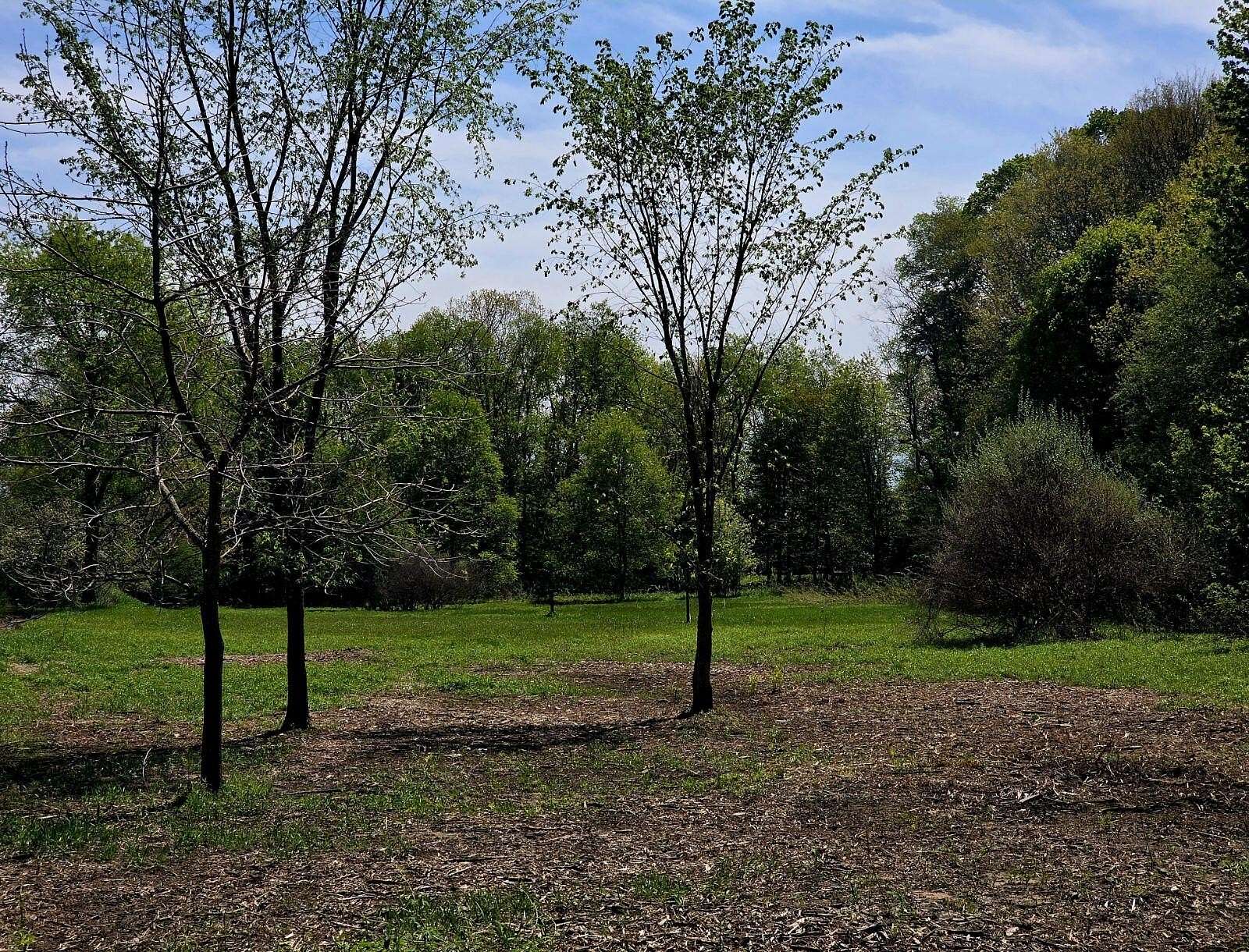 1 Acre of Residential Land for Sale in White Cloud, Michigan