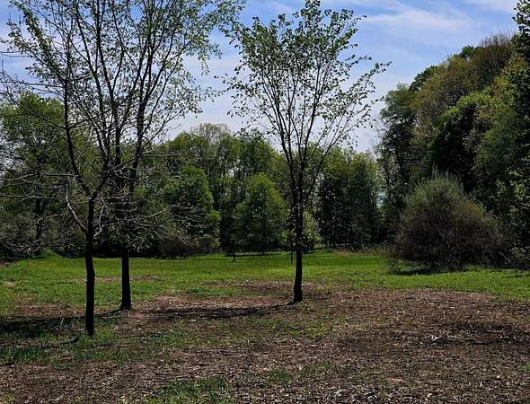 1 Acre of Residential Land for Sale in White Cloud, Michigan