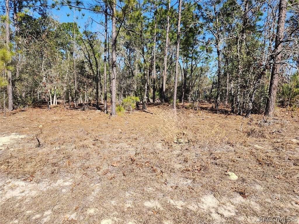 0.23 Acres of Land for Sale in Citrus Springs, Florida