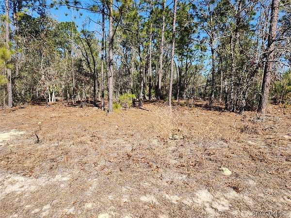 0.23 Acres of Land for Sale in Pine Ridge, Florida