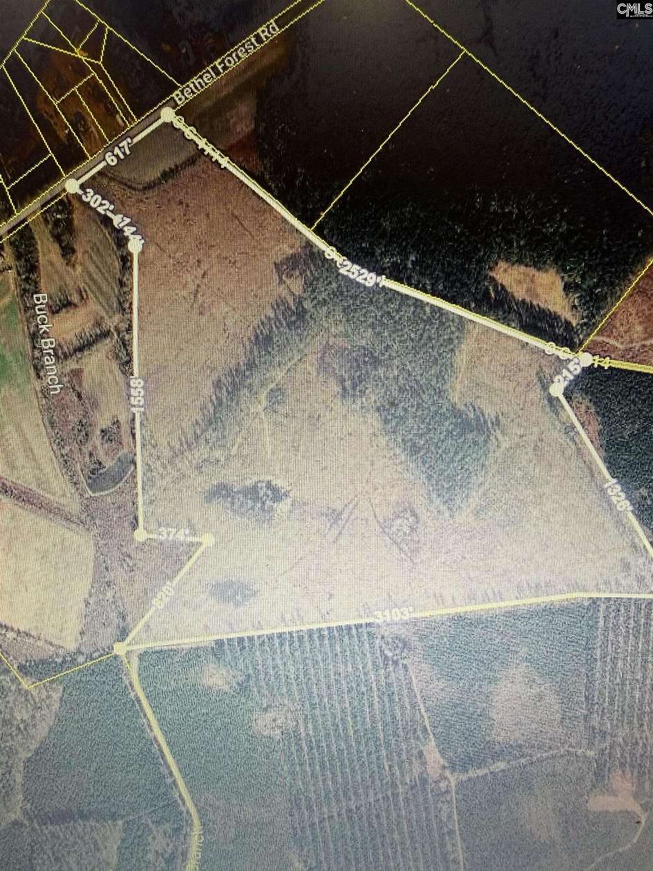 115 Acres of Recreational Land for Sale in Rowesville, South Carolina