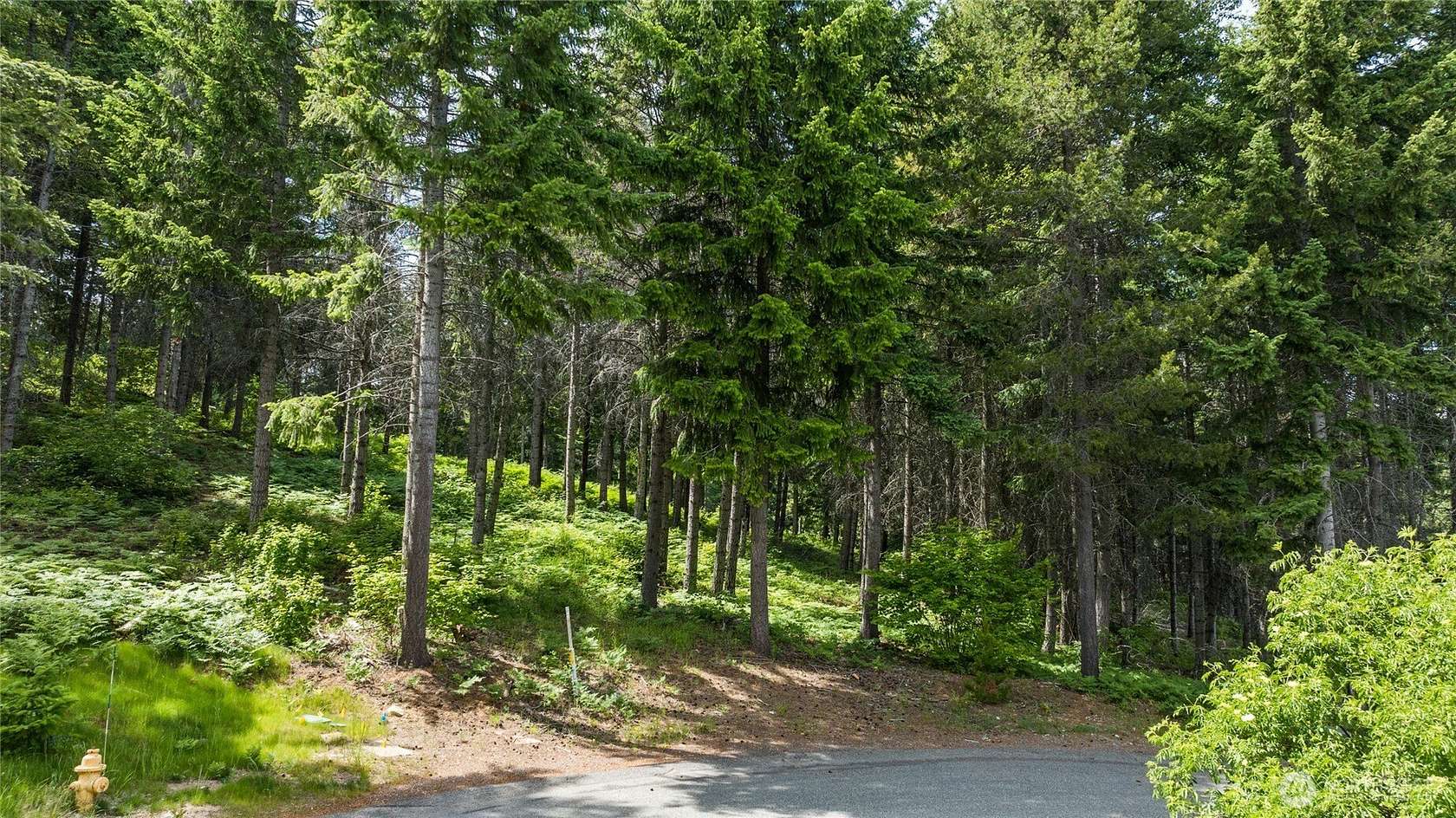 1 Acre of Residential Land for Sale in Cle Elum, Washington