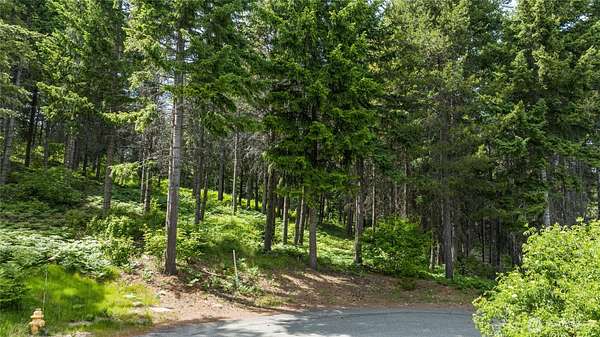 1 Acre of Residential Land for Sale in Cle Elum, Washington
