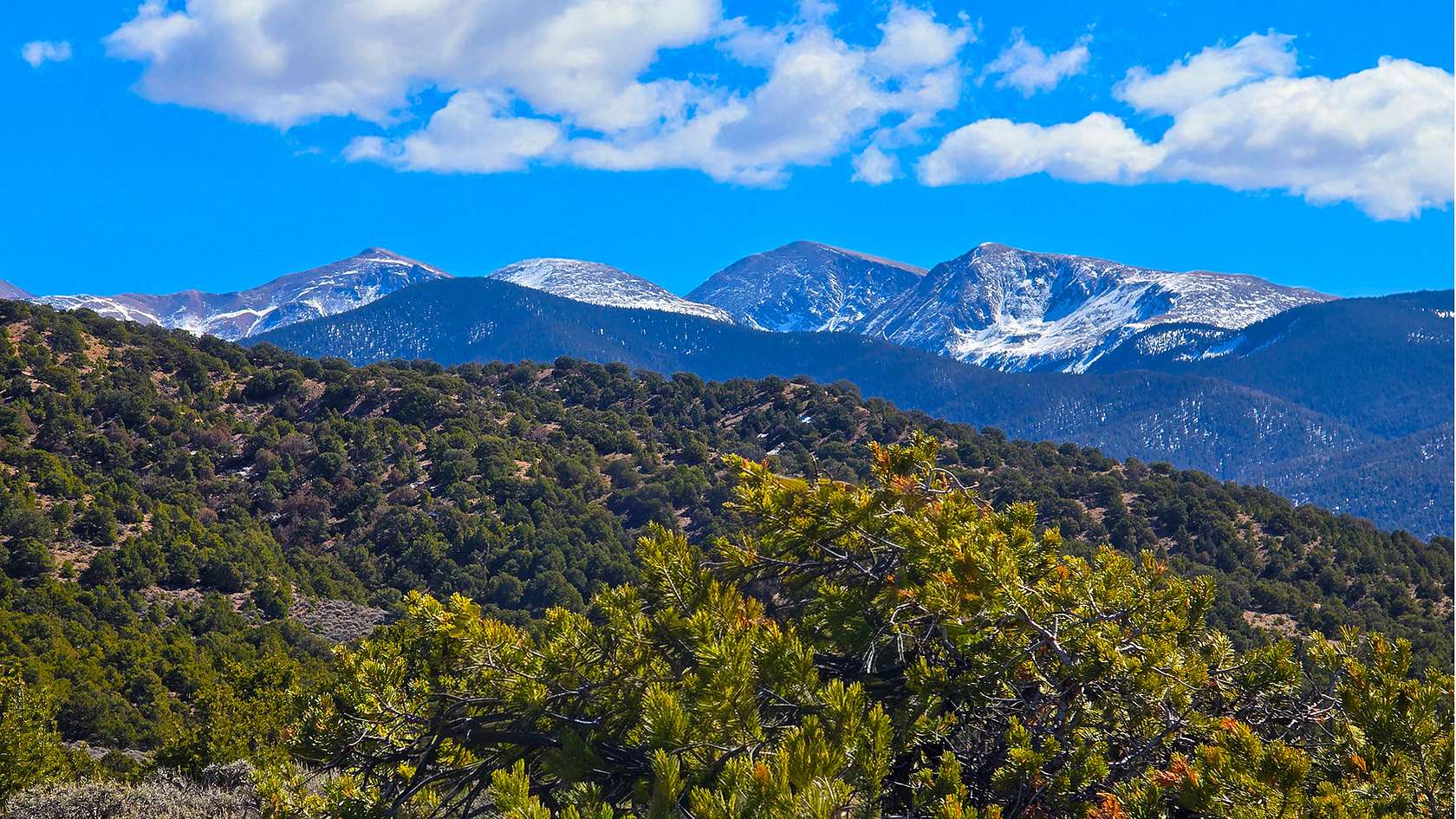 36.5 Acres of Recreational & Residential Land for Sale in Chama, Colorado