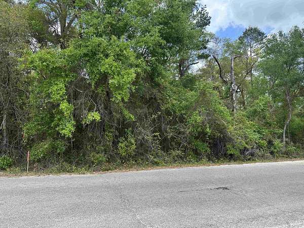 1 Acre of Land for Sale in Tallahassee, Florida