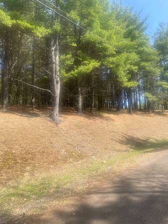 6 Acres of Land for Sale in Gilboa, New York
