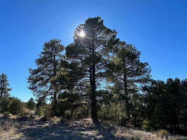 1.16 Acres of Land for Sale in Mosca, Colorado