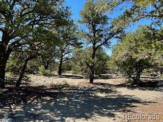 2.37 Acres of Residential Land for Sale in Mosca, Colorado