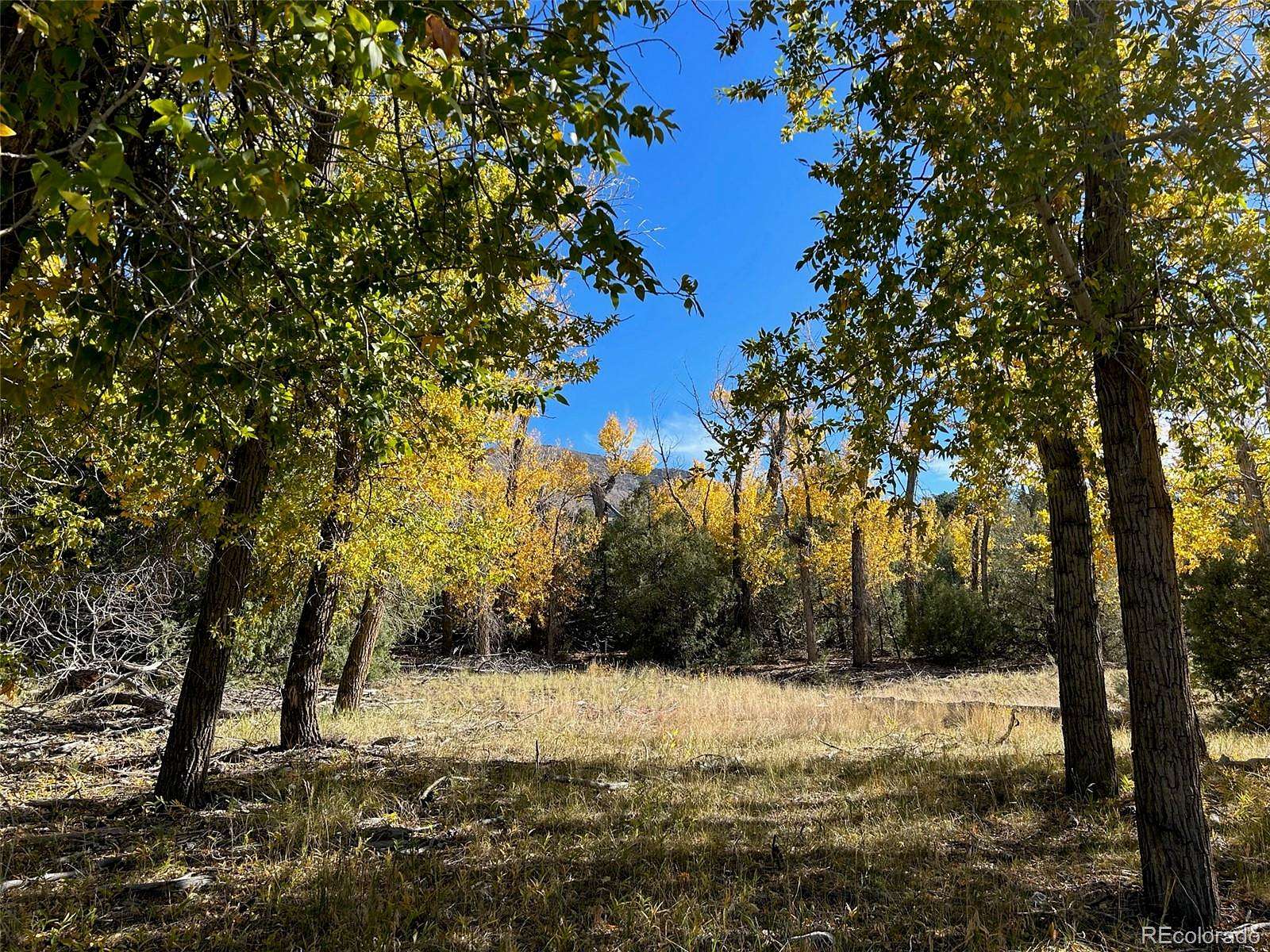 2.2 Acres of Residential Land for Sale in Mosca, Colorado