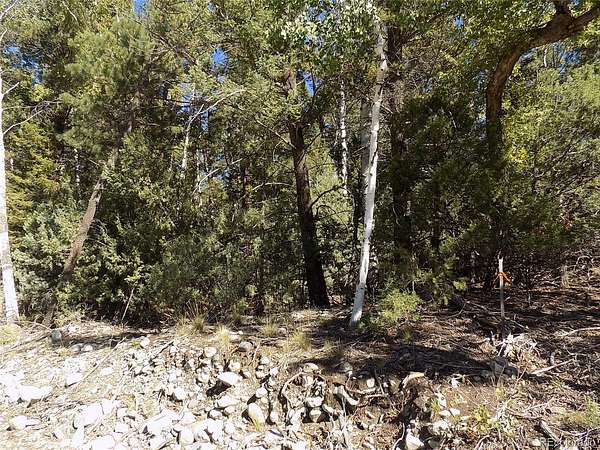 2.22 Acres of Residential Land for Sale in Mosca, Colorado