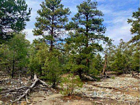 4.18 Acres of Residential Land for Sale in Mosca, Colorado